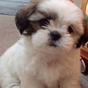 Meet your Posher, Hope